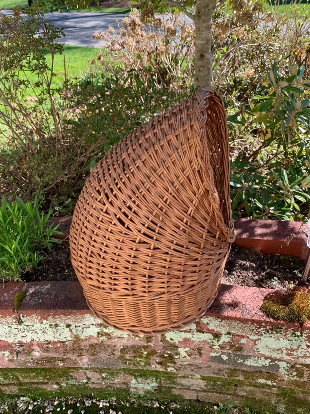 Vintage Wicker Woven Natural Brown Pet Basket